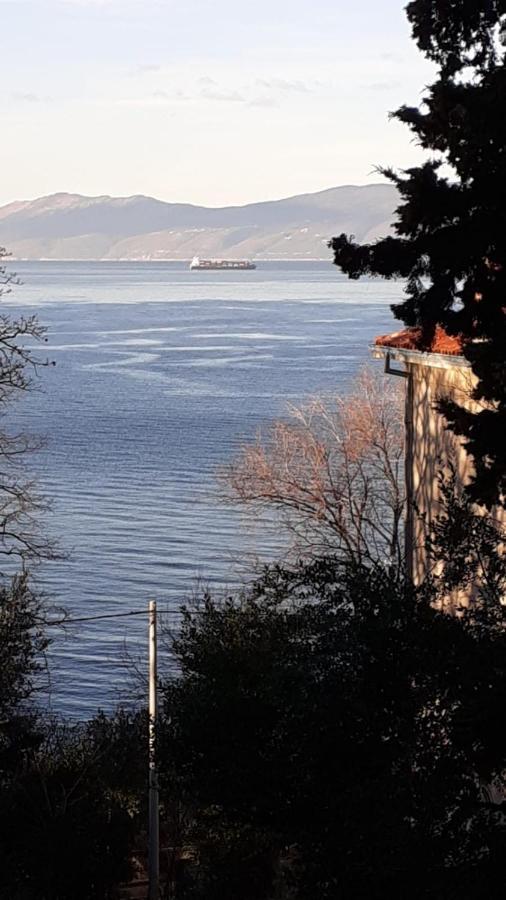 Apartman Jasmina 2 Rijeka Bagian luar foto